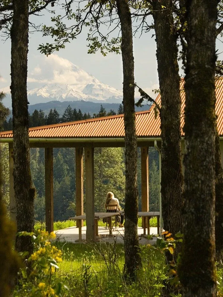 Columbia Gorge House photo 8
