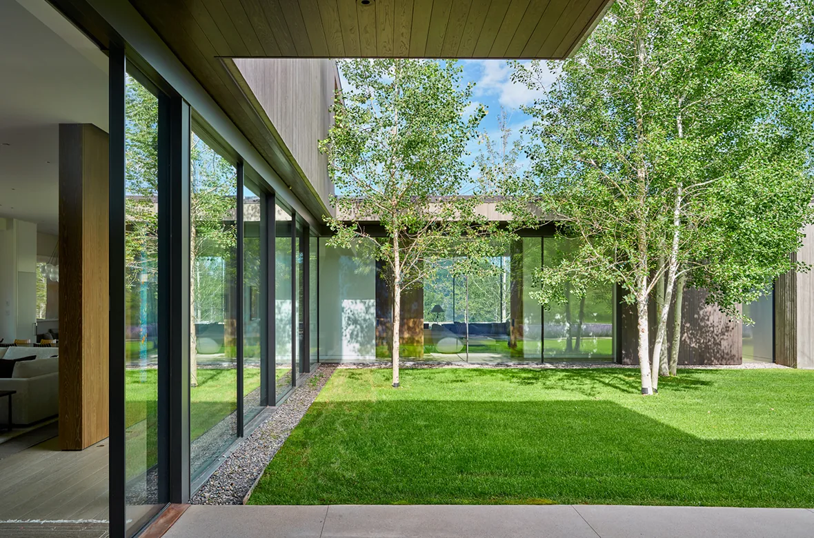 Mountain Modern project features a courtyard with green lawn, trees, and extensive floor-to-ceiling glazing with black frames.