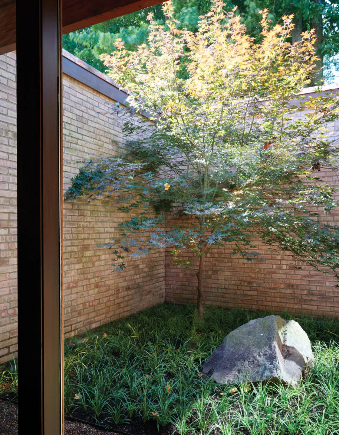 Walled courtyard with brick walls enclosing a small tree, low groundcover, and a large stone boulder.