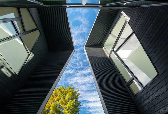 The PTR HOUSE features dark wood siding with large windows and vertical paneling framing a sky view between two building volumes.