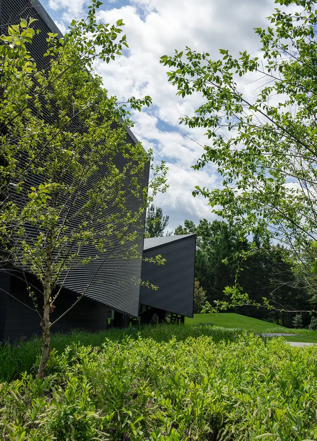 PTR HOUSE features angular dark siding contrasted with lush greenery in a natural setting.
