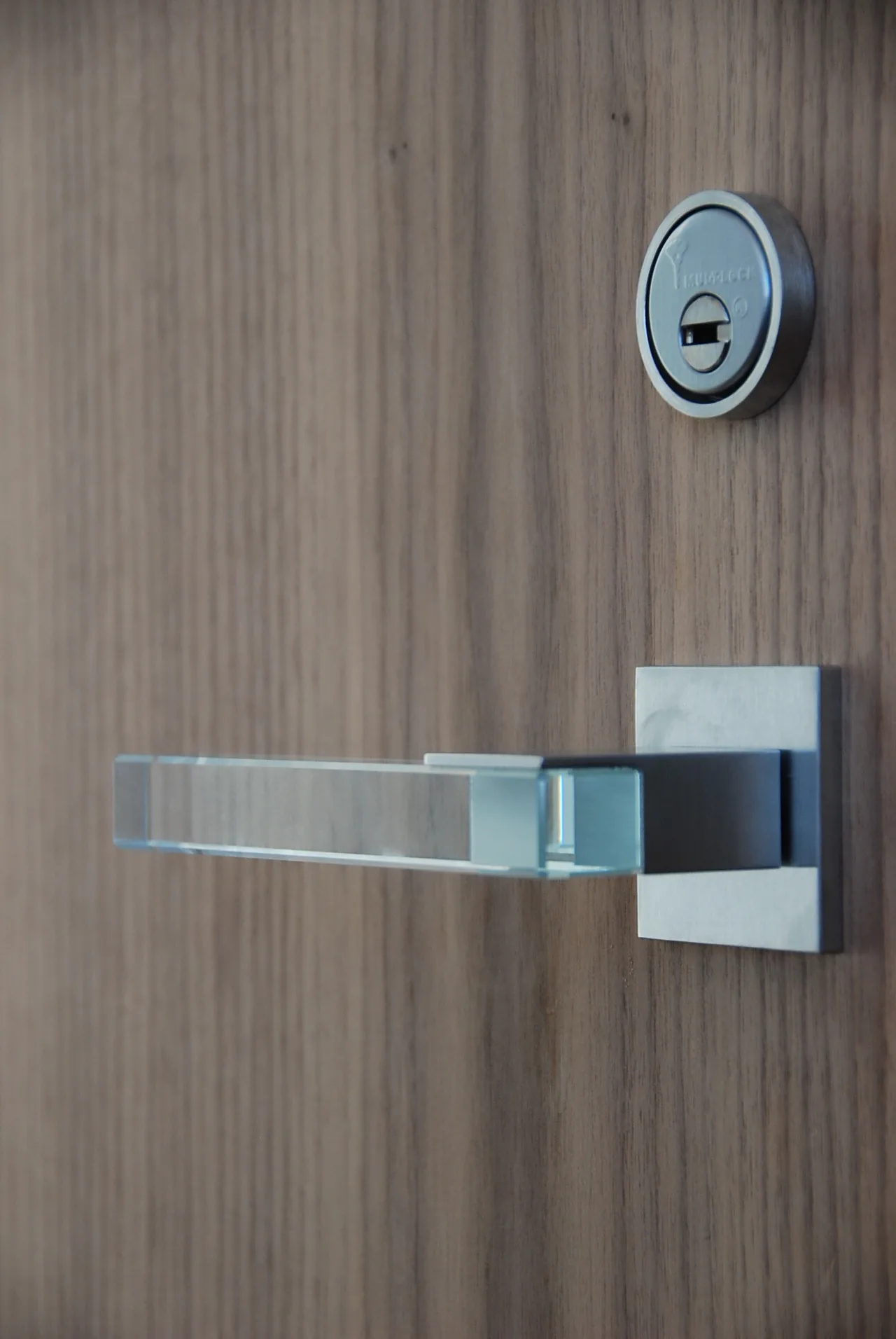A sleek modern glass door handle paired with a metal lock on a wood door in House 432.
