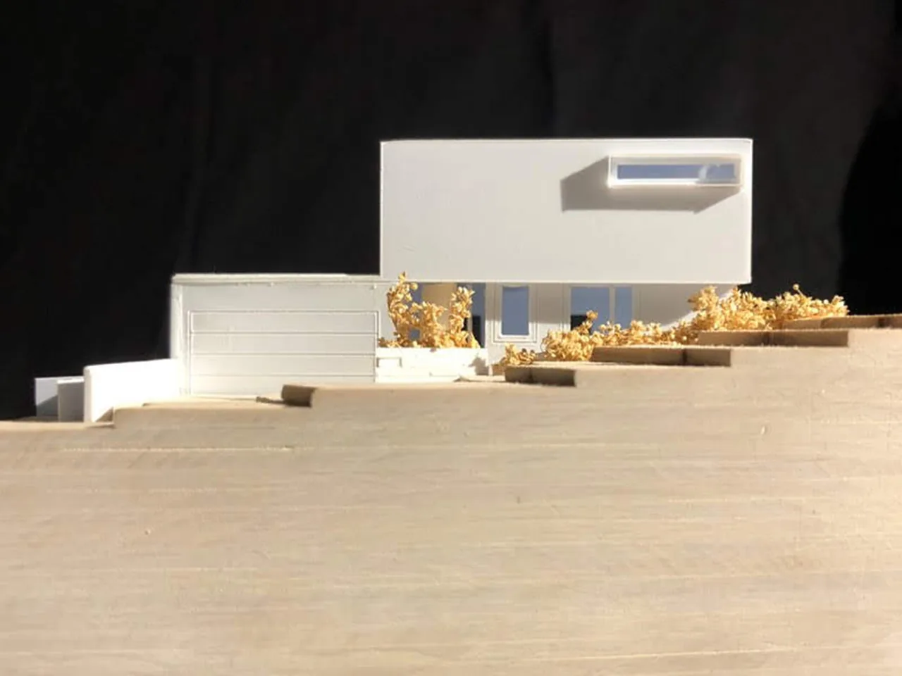 Model shows a modern two-story house with a garage, shrubbery, and stepped terrain base.