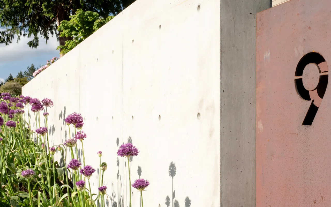 Concrete wall with large metal number 9 and purple flowers in front casting shadows on the wall.