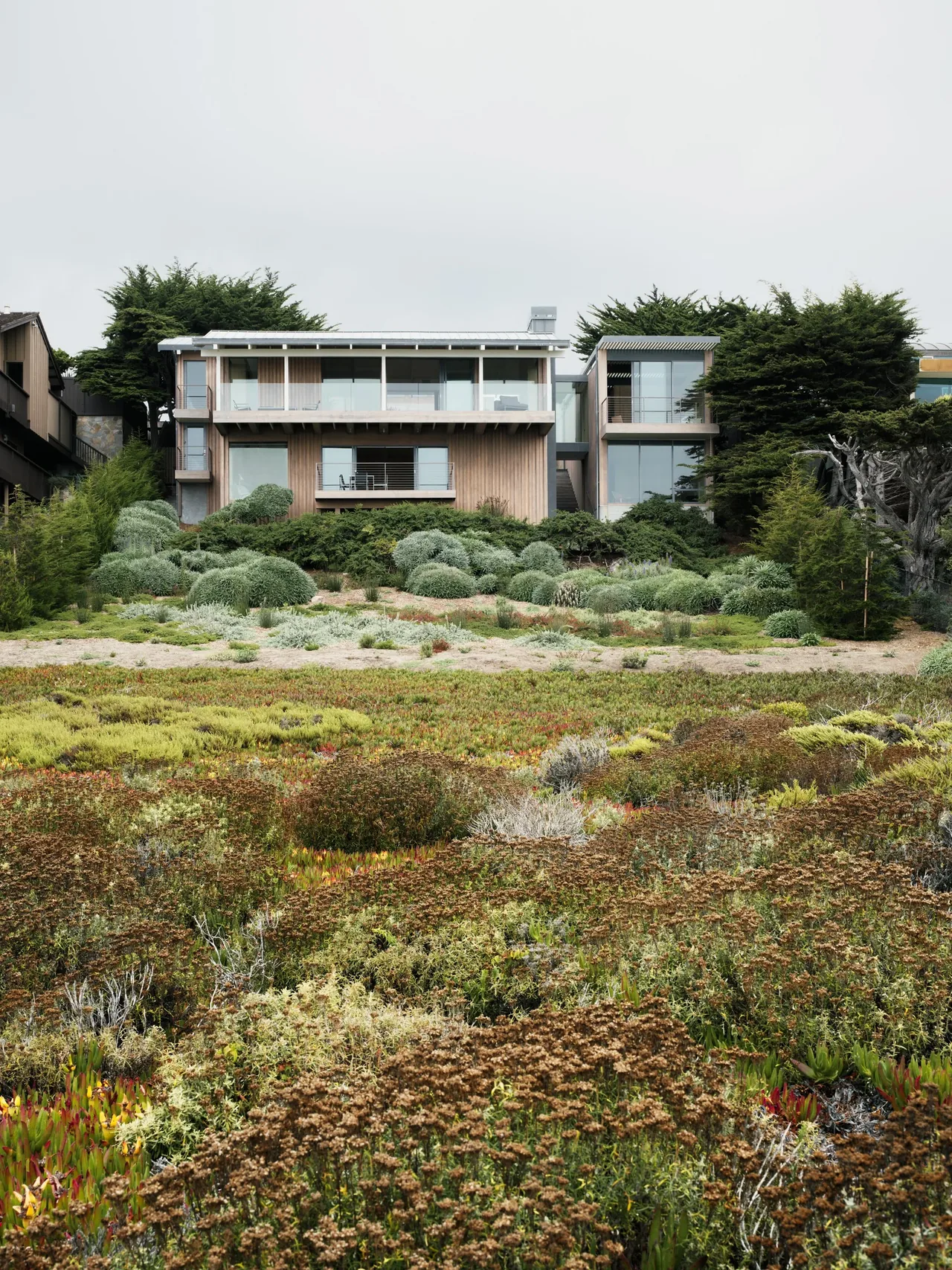 The Carmel project features a modern exterior with wood siding and extensive glass, set against landscaped greenery.