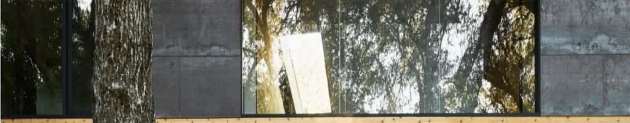 Carmel Meadows house exterior shows large black-framed glass, concrete and wood siding reflecting surrounding trees.