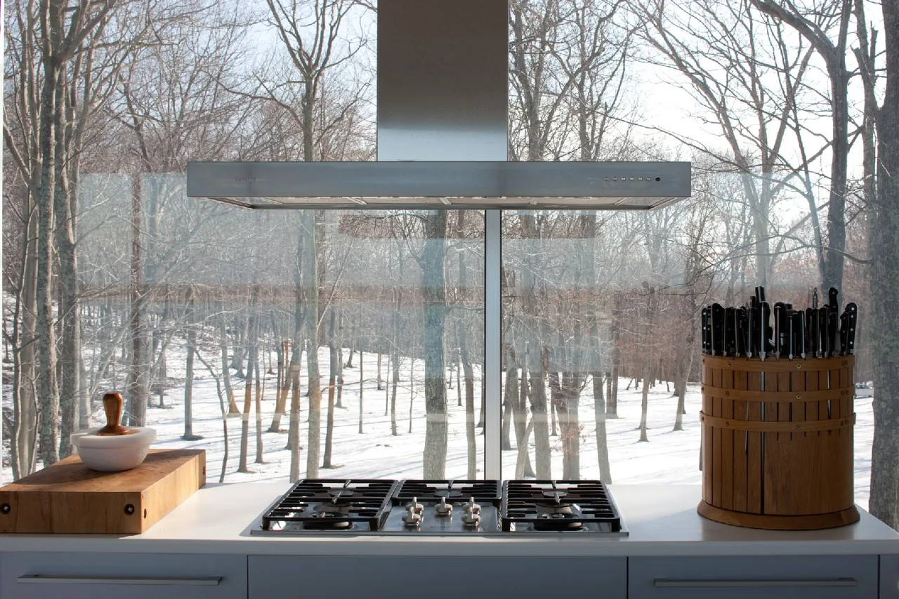 A kitchen cooktop is positioned in front of floor-to-ceiling glazing with a winter forest view.