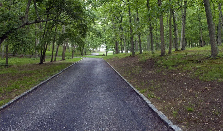 Paved driveway through wooded landscape leading to a raised building in the distance.