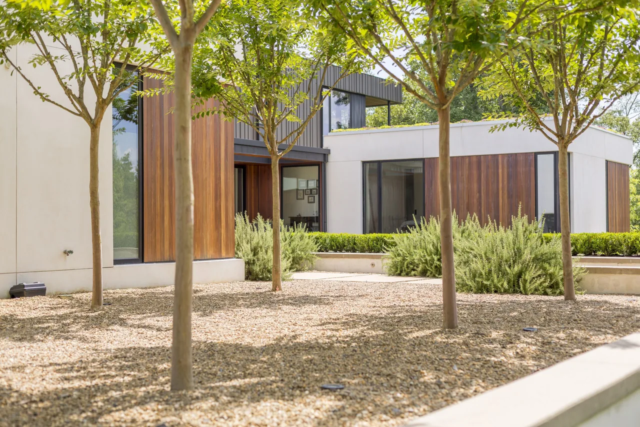 Modern courtyard at Calloway Ridge House features wood paneling, gravel landscaping, and young trees for shade.