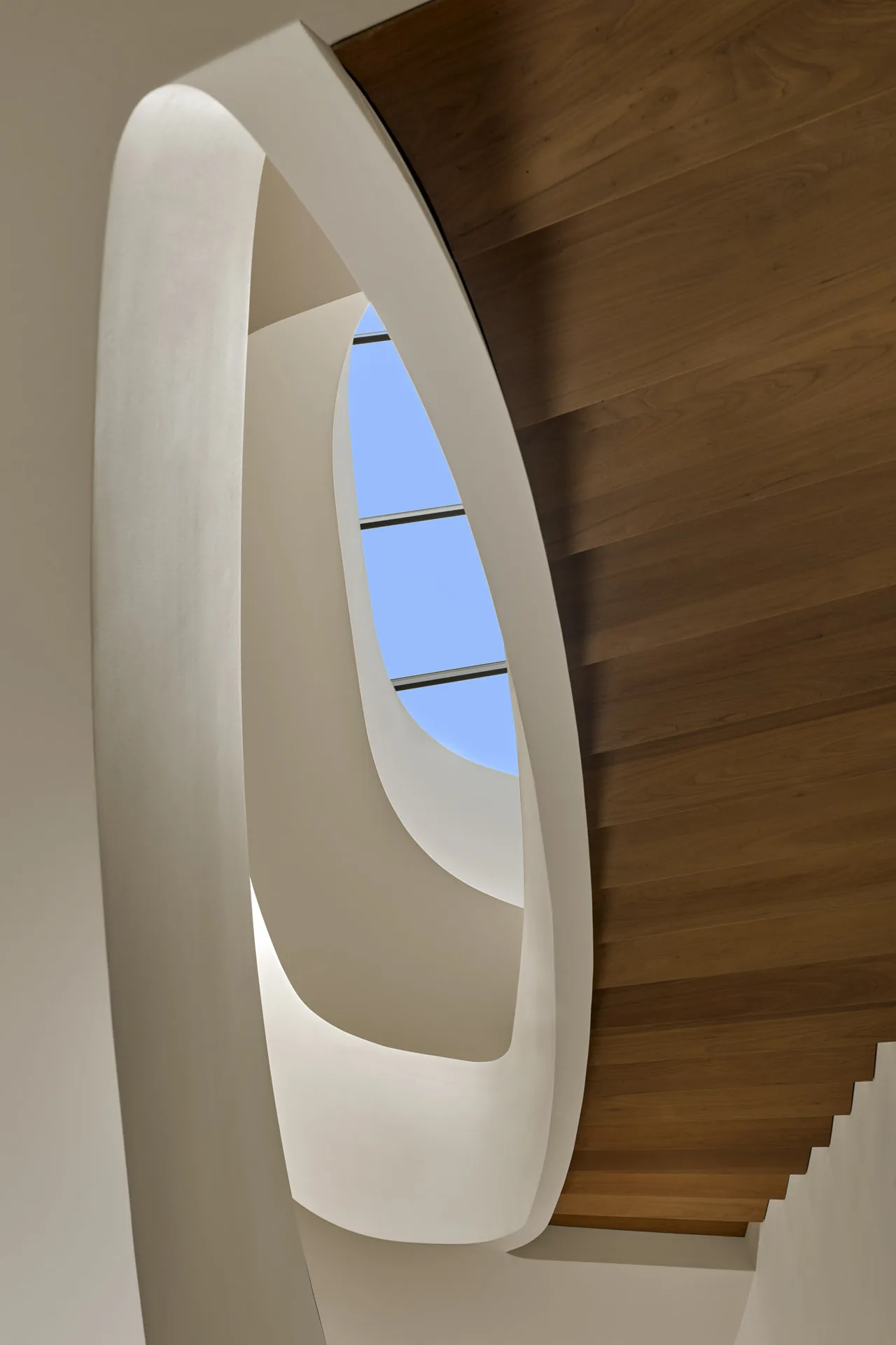 Curved stairwell with white plaster walls and walnut wood steps under a skylight at Seacliff Residence.