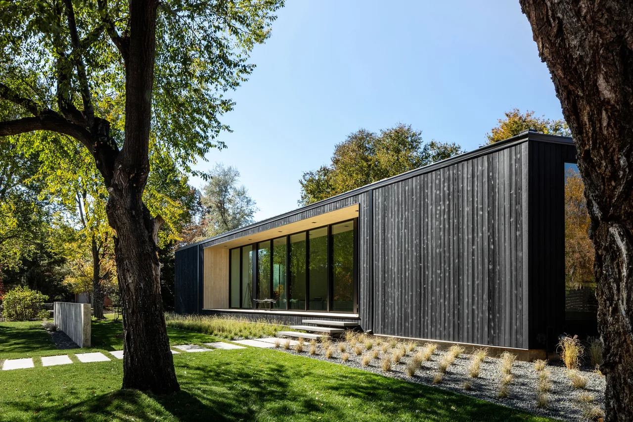 Vista Drive Pavilion features black vertical siding and floor-to-ceiling glass windows, set in a landscaped yard with trees and a sidewalk path.