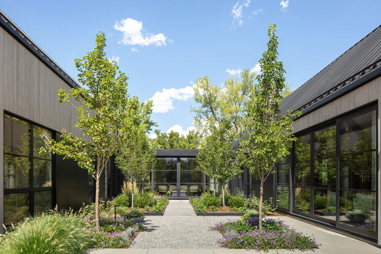 Courtyard garden with young trees and gravel pathway between two modern buildings at Linden Grove.