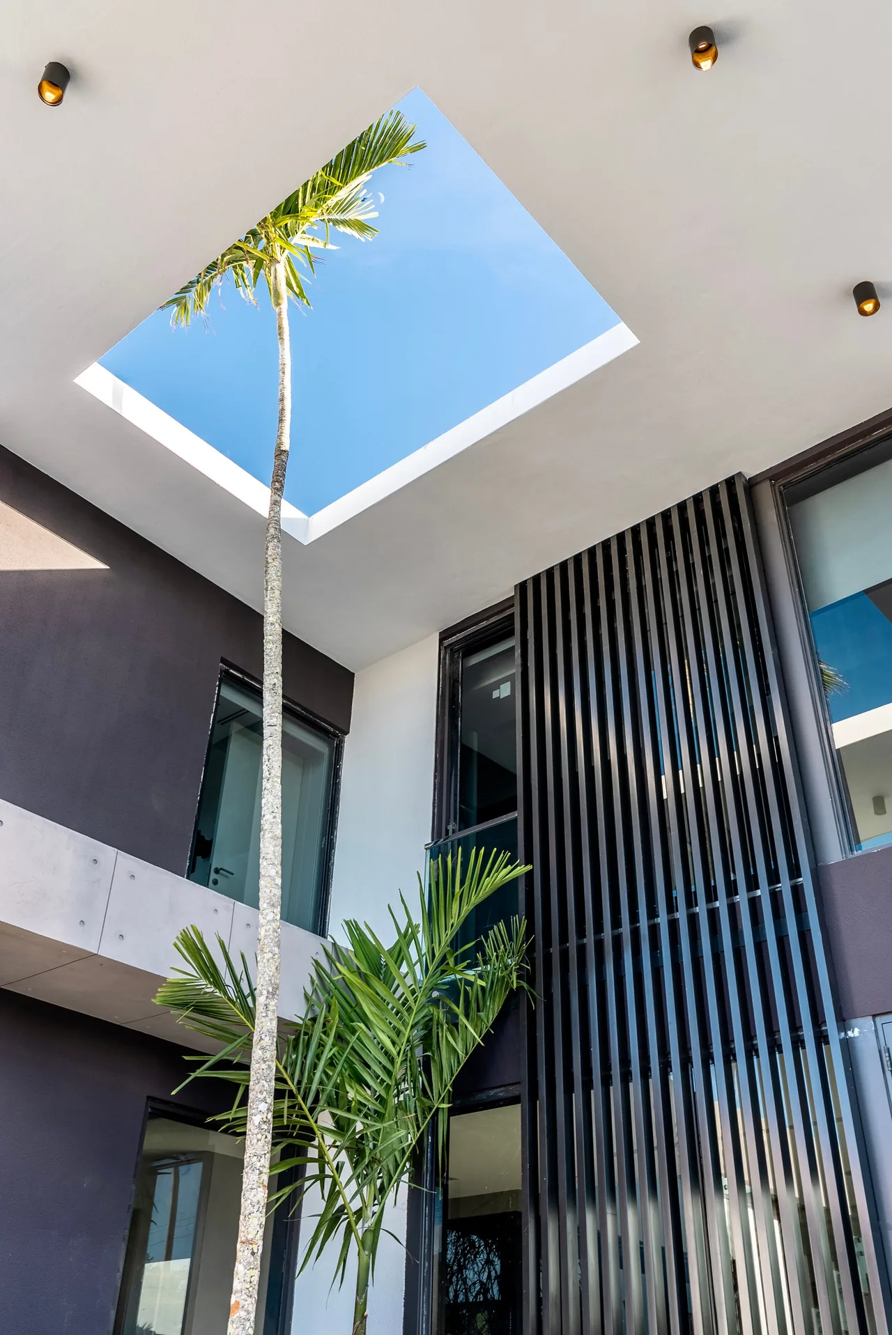 A palm tree grows through a square ceiling cutout in a modern exterior with black vertical slats and windows.