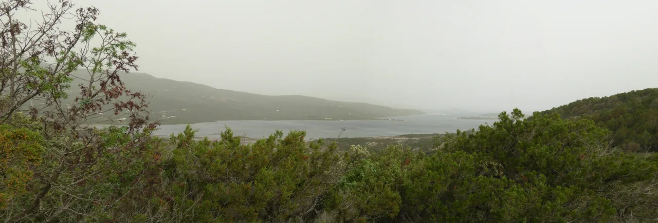 View of a mist-covered lake and hills seen over dense green vegetation.