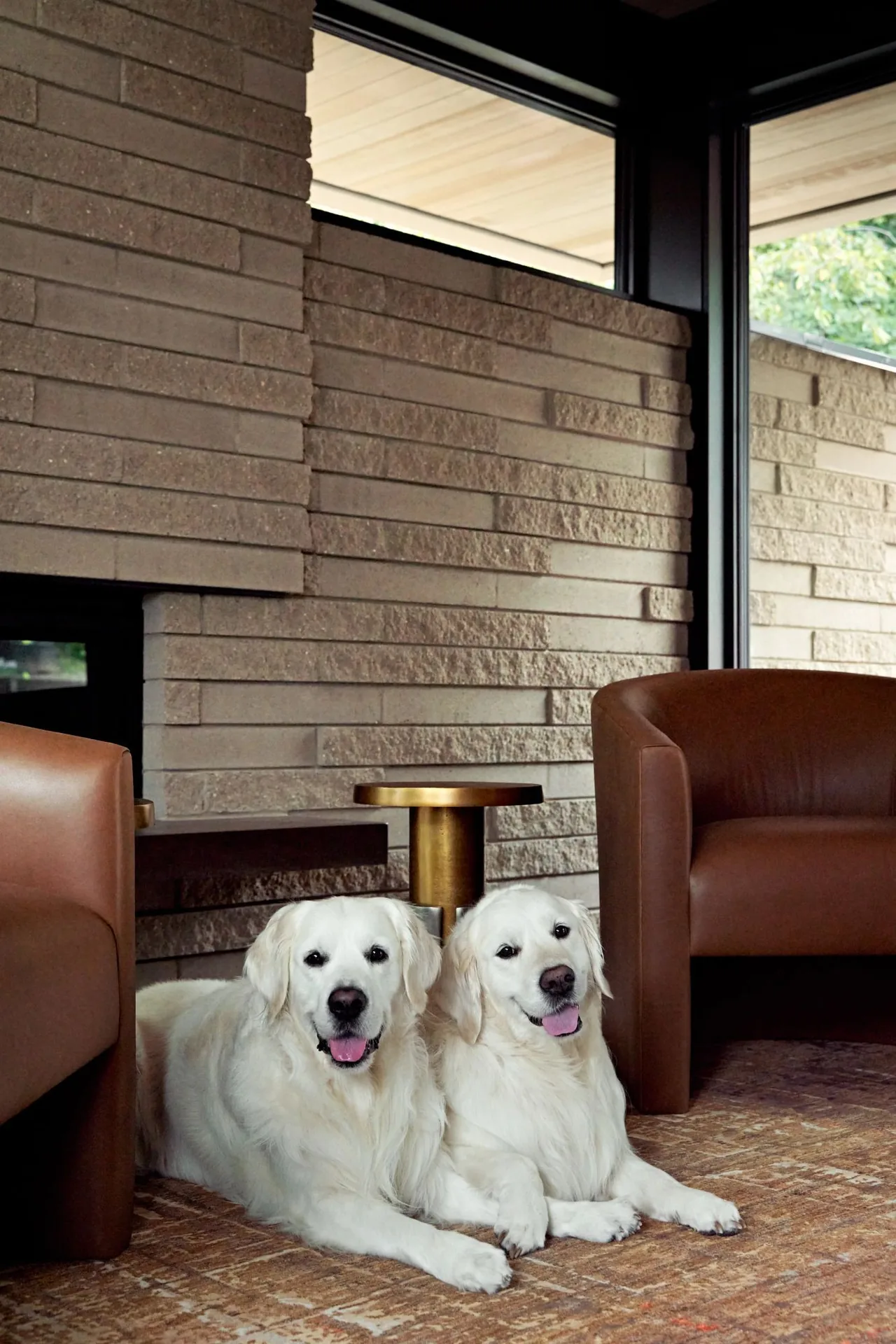 Two white dogs rest on a carpet floor between brown leather chairs in front of a stone masonry wall with a window.