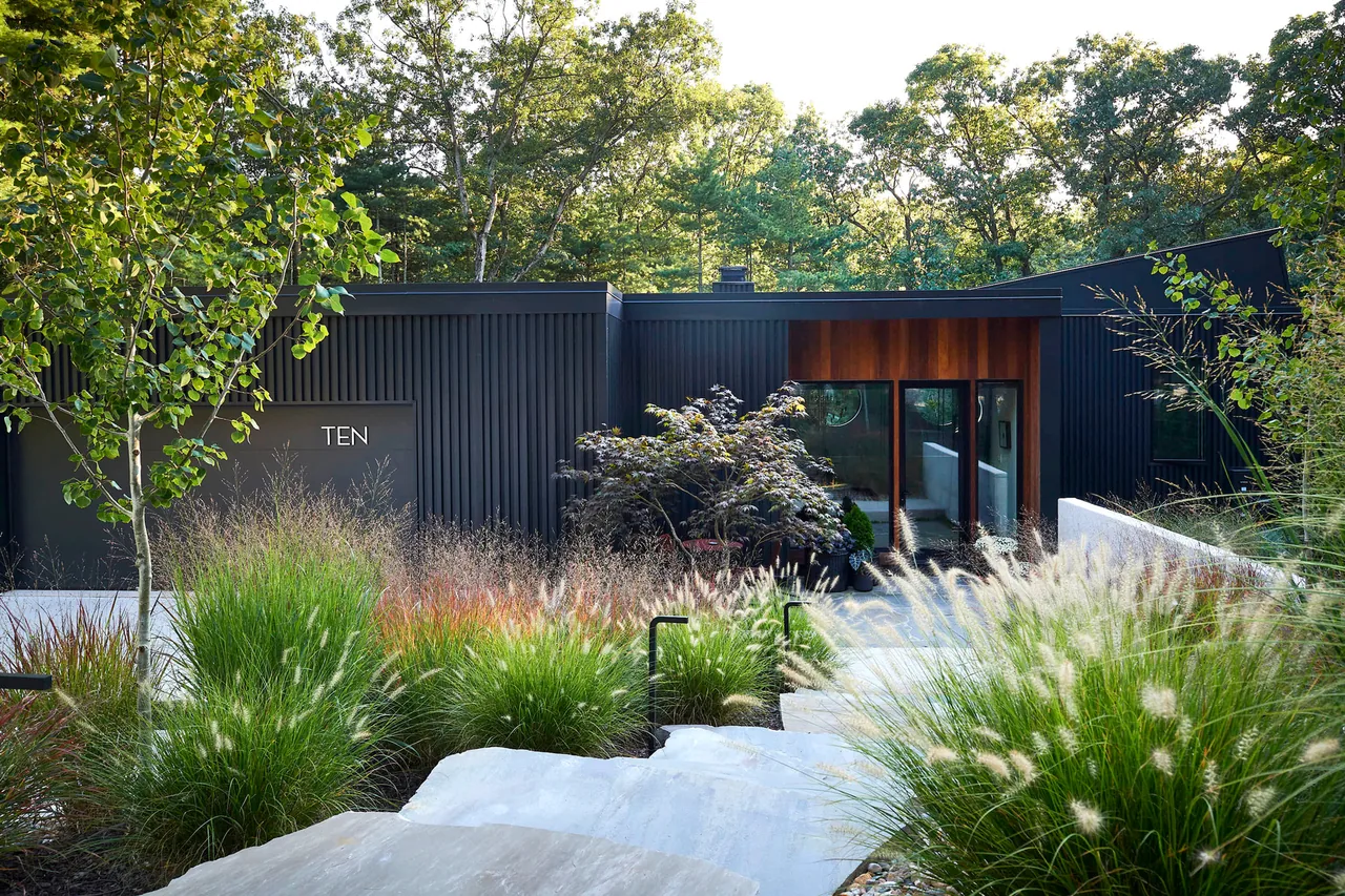 Front exterior view of a modern black house with vertical siding, surrounded by ornamental grasses and trees.
