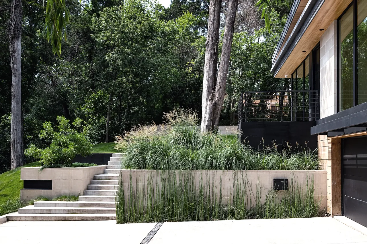 Side exterior view of a modern house features concrete stairs, a raised garden bed with tall grasses, and wood slat ceiling under the roof eaves.