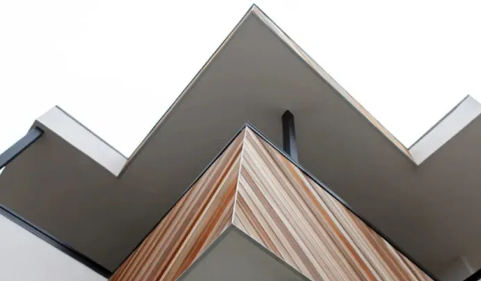 The Edinberg Residence features a sharp metal overhanging roof above wood panel walls.