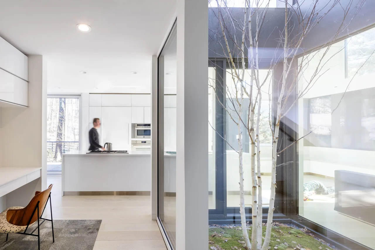 Modern kitchen and living area view alongside a glass-enclosed courtyard with a slender tree.