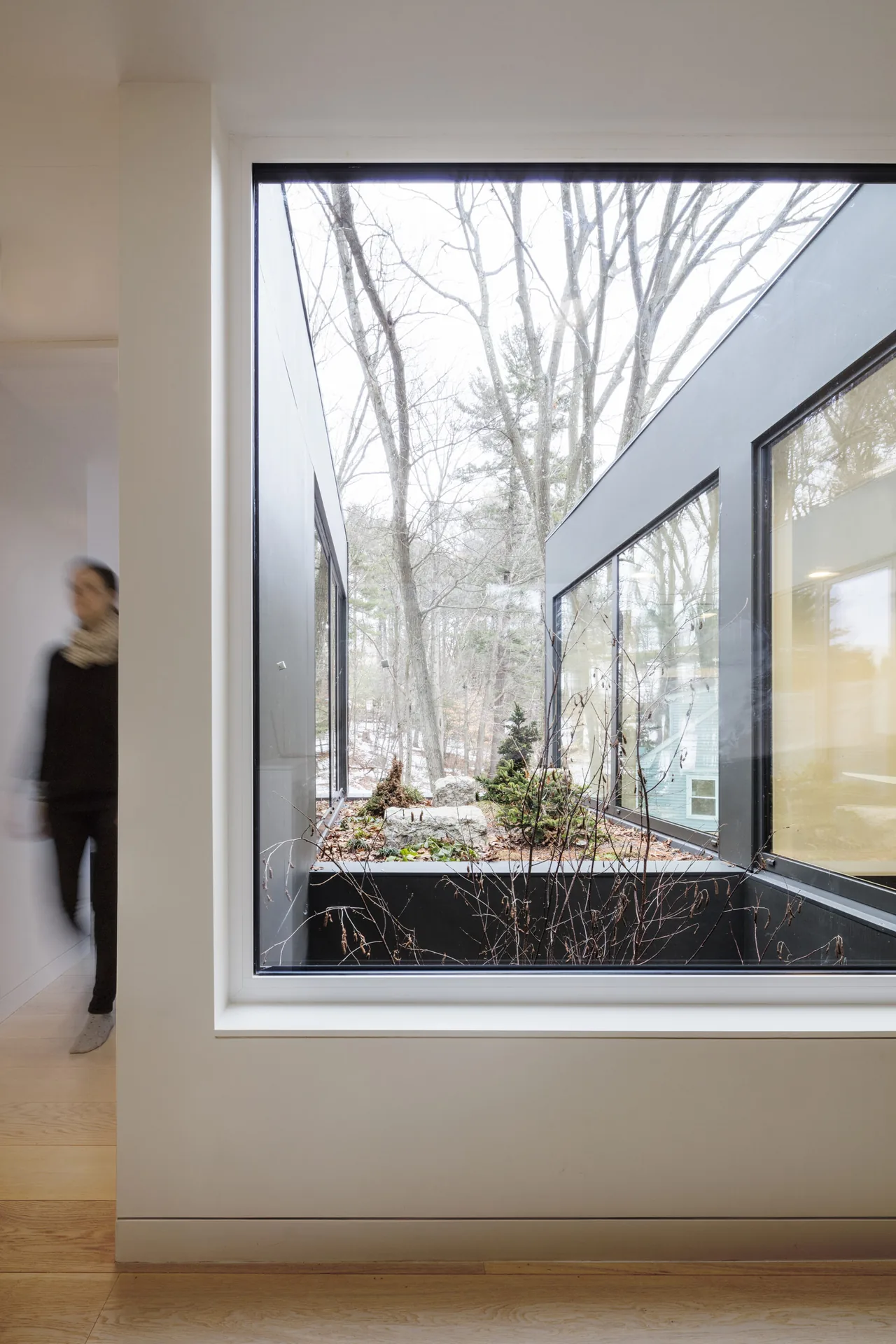 Modern black-clad courtyard with small trees and plants visible through an interior window.