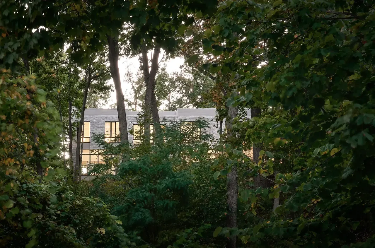 Ravine Reimagined project shows a modern home partly hidden behind trees with illuminated windows.
