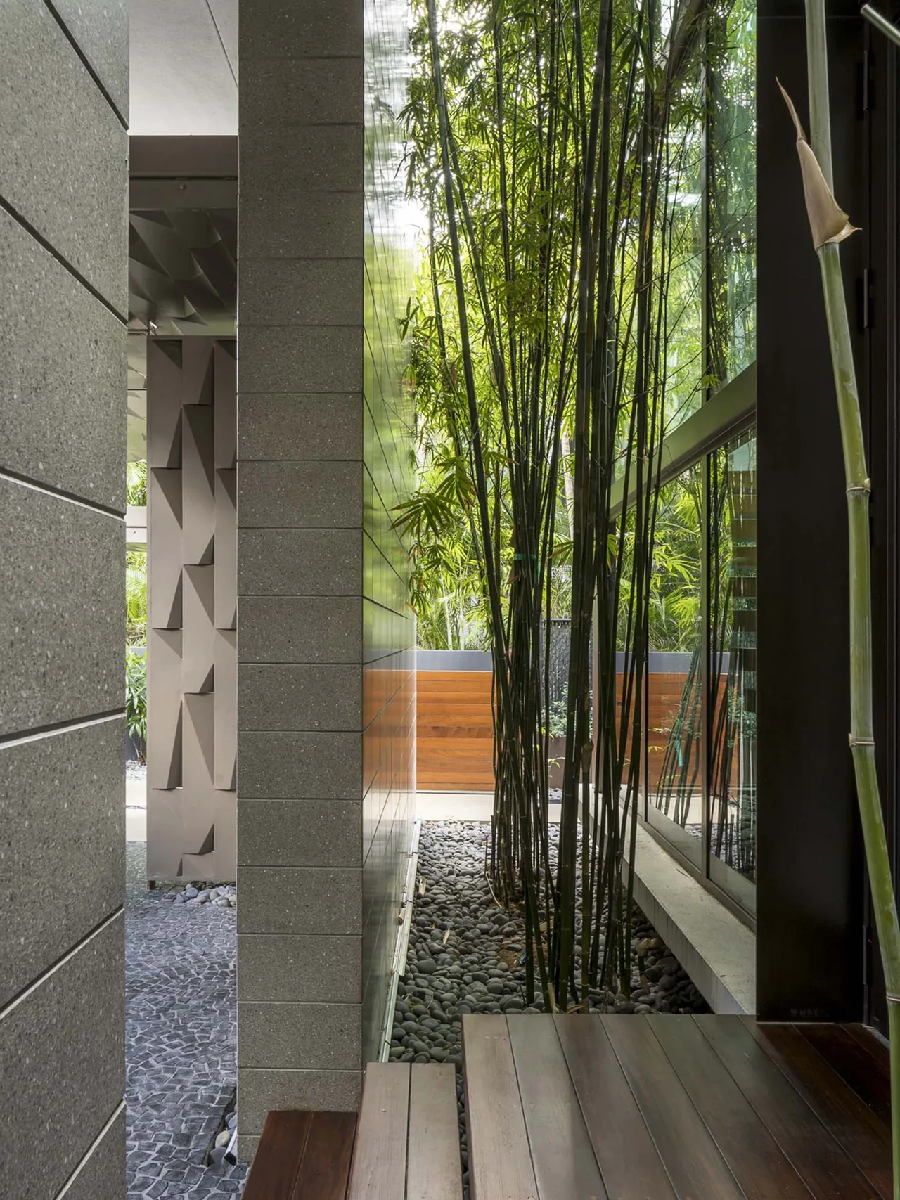 The Intracoastal Residence features a narrow outdoor corridor with bamboo and natural stone landscaping along a glass wall.