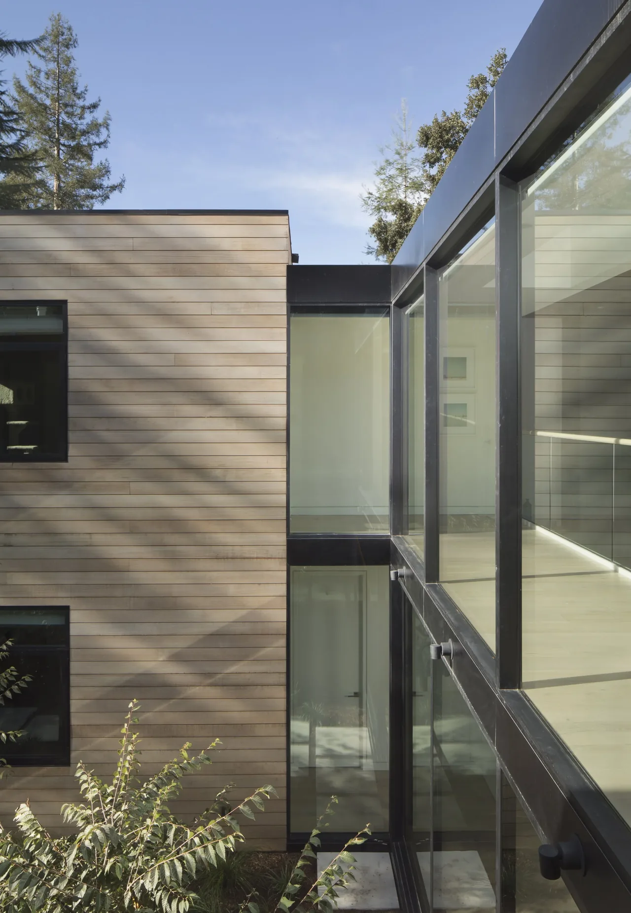 Modern home exterior with wood siding contrasted by large black-framed glazing.