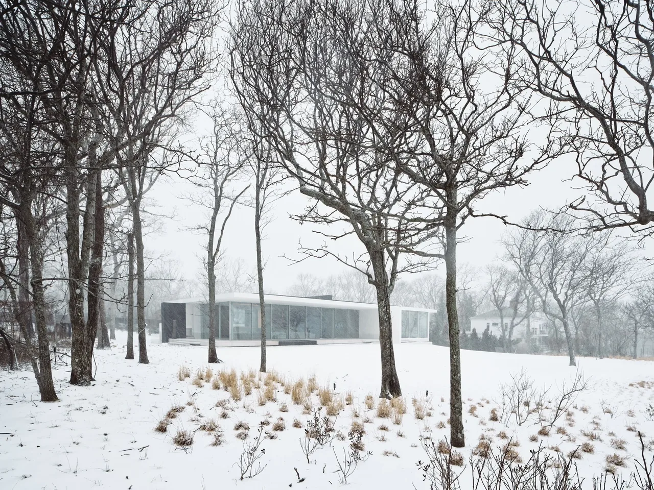 Modern minimalist house with floor-to-ceiling glazing surrounded by leafless trees and snow.