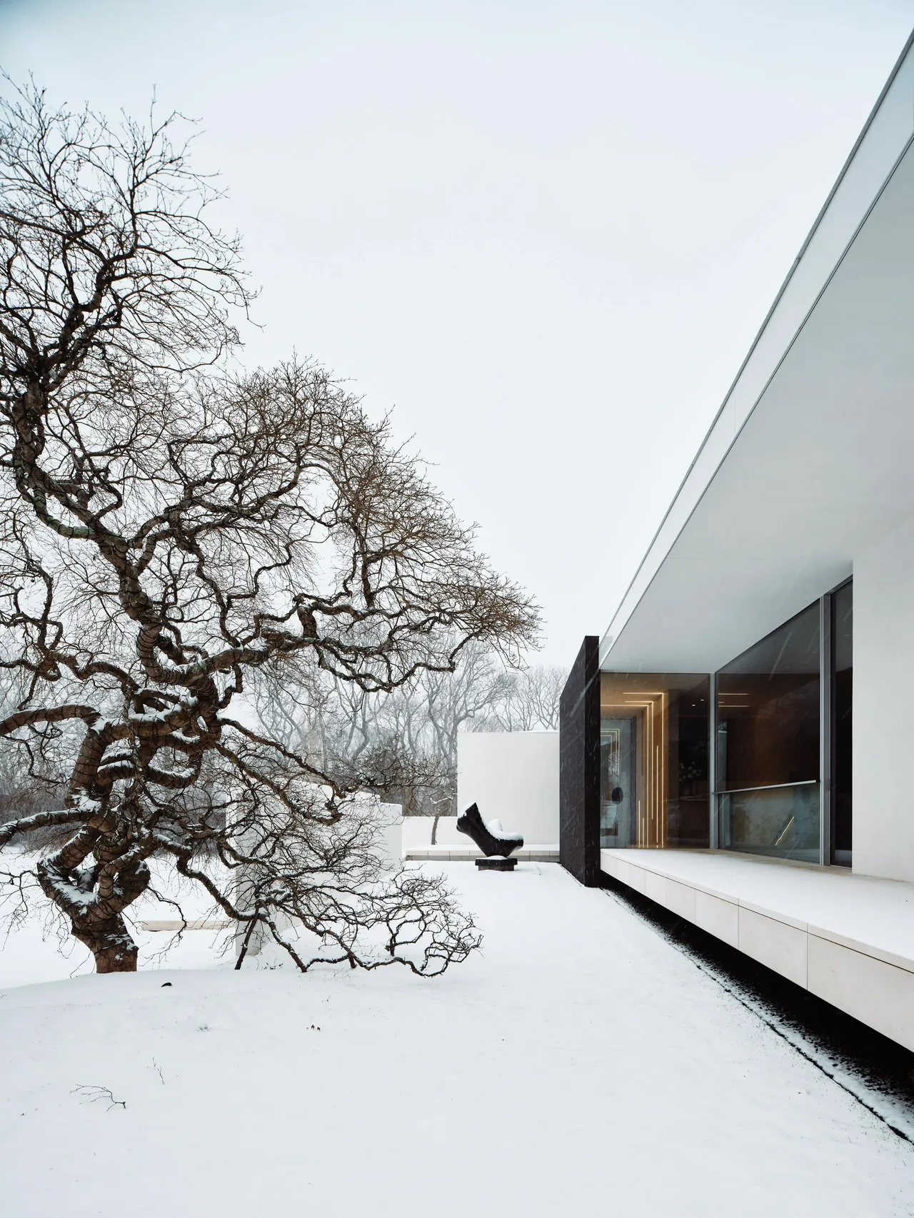 Exterior view of a modern white house beside a distinctive tree in a snow-covered landscape.