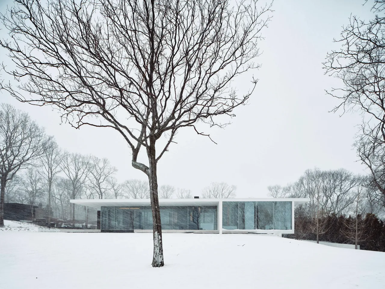 The Lighthouse & Treehouse project by Stelle Architects features a flat-roofed modern home with extensive glass walls in a snowy setting.