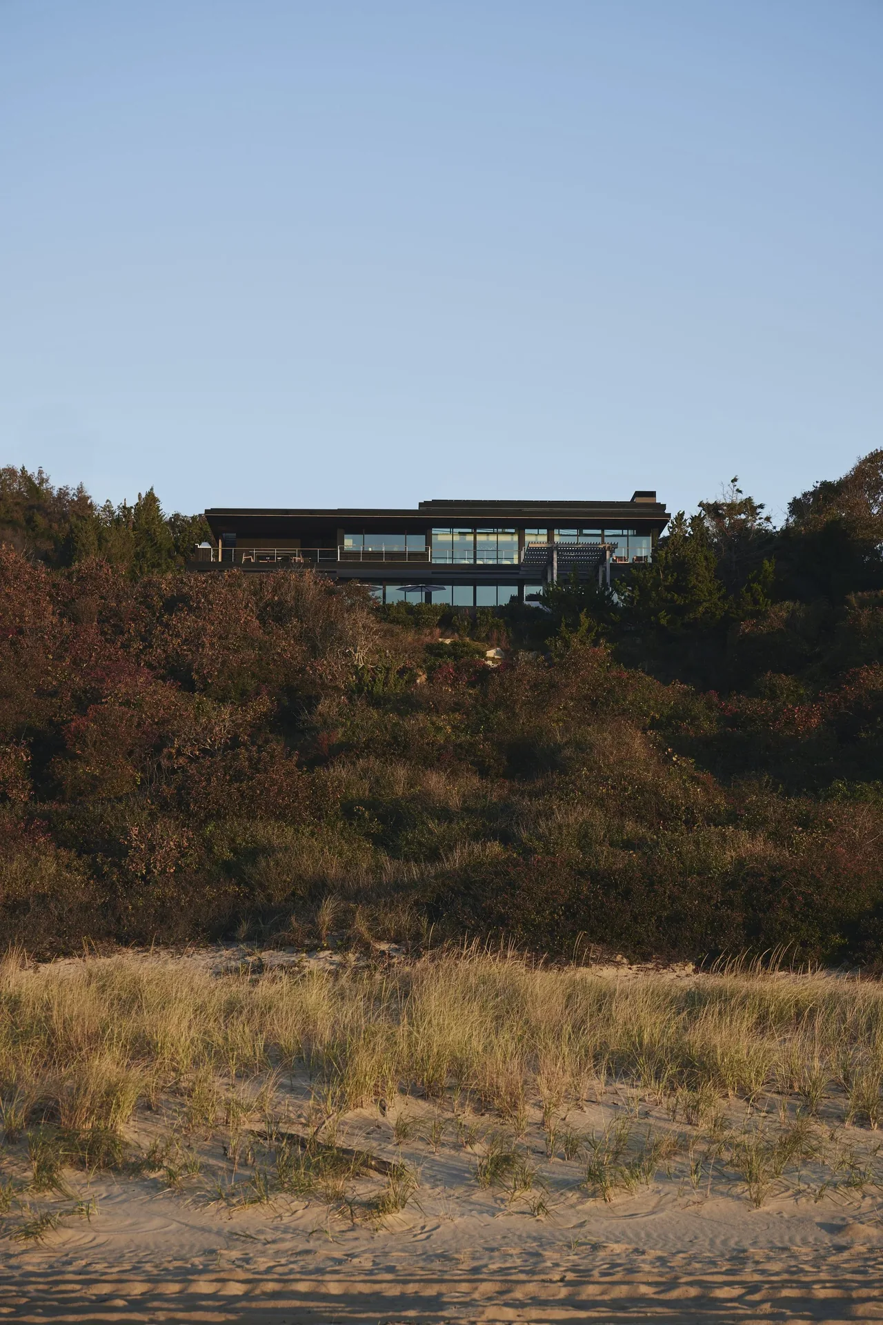 Ocean Bluff house by Stelle Architects sits elevated behind dune vegetation with large glass windows and horizontal lines.