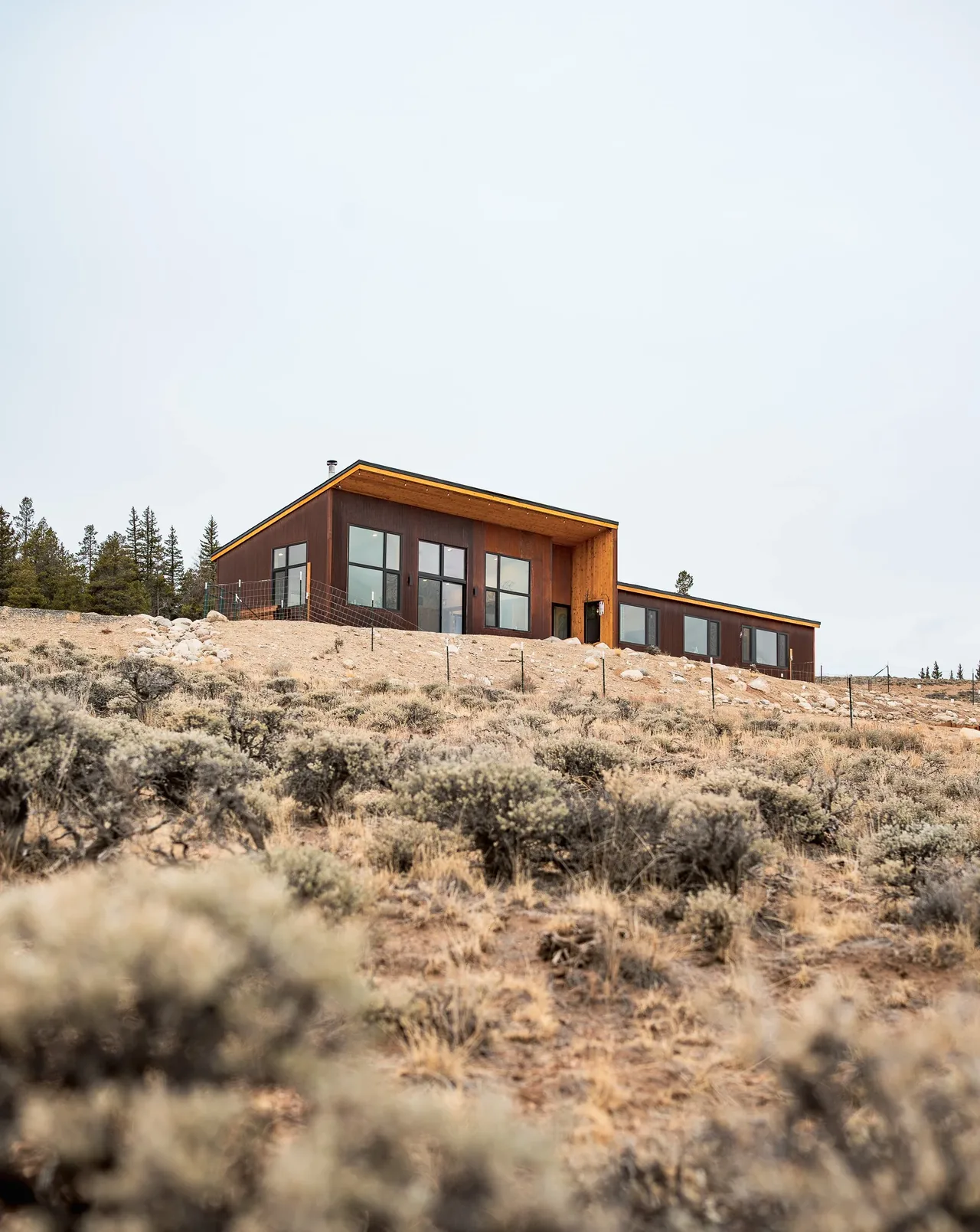 Blue J house by Shape Architecture Studio features a low-profile flat roof with large windows and a dark stained wood exterior.