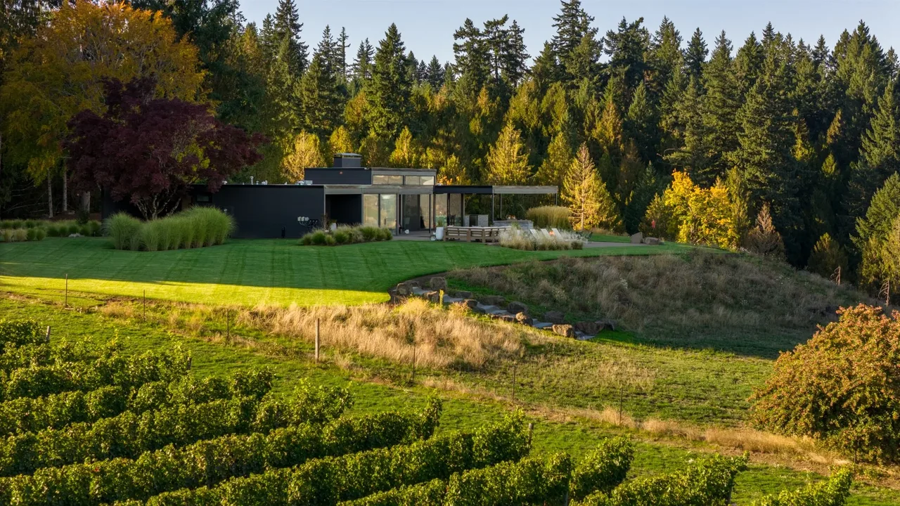 Flat-roofed modern house with floor-to-ceiling glazing on a green lawn near a forest.