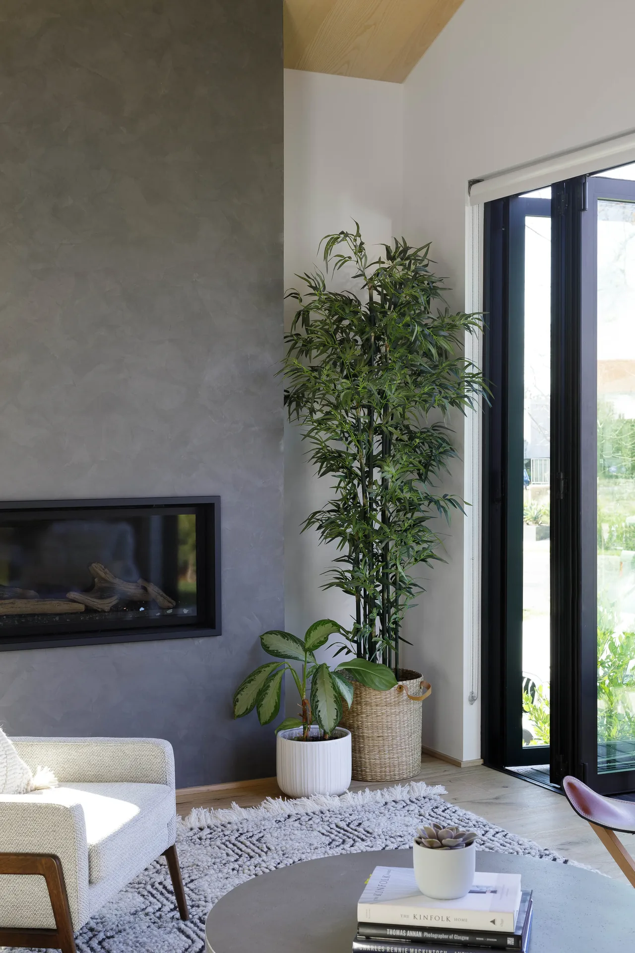 Living room of Curson Residence shows a textured gray fireplace wall flanked by potted plants and black-framed glass doors.