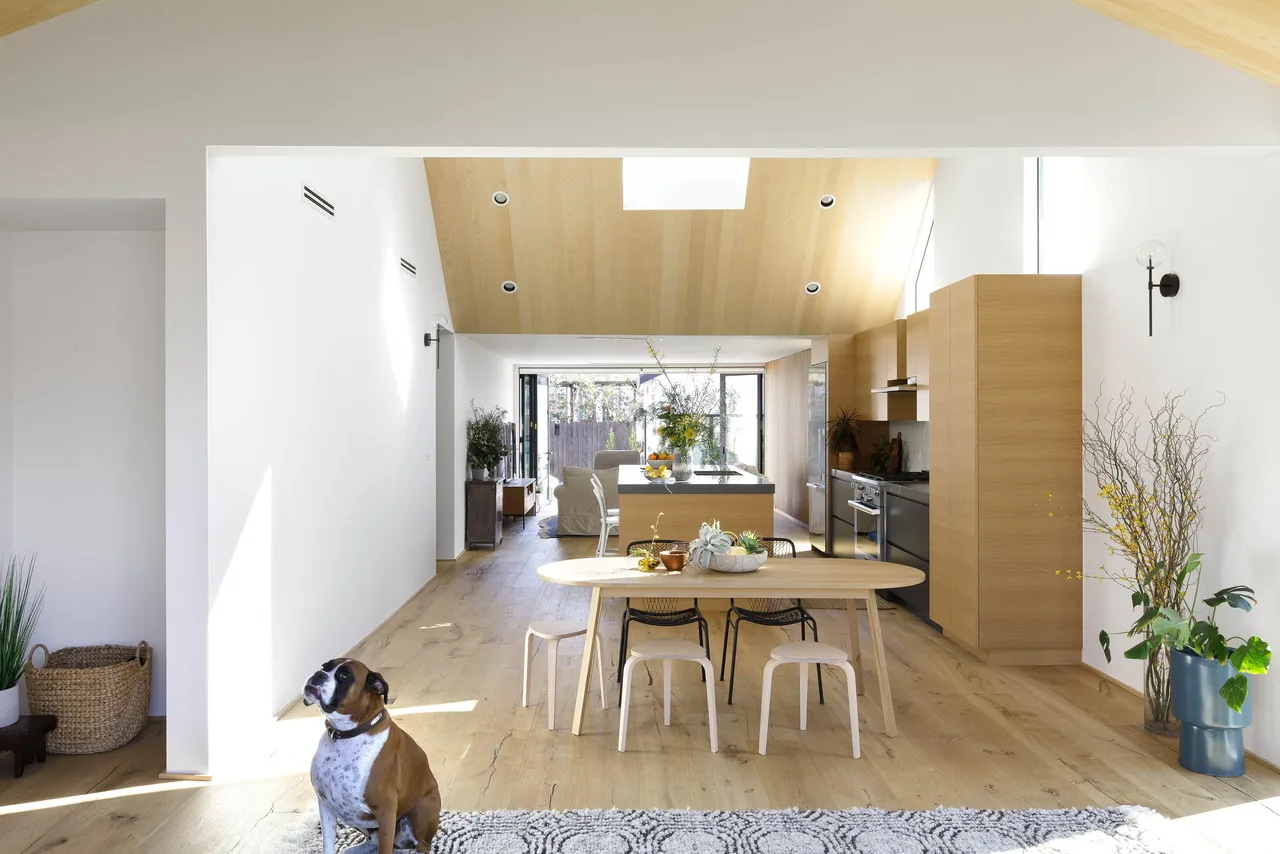 Open kitchen and dining space features wood cabinetry, vaulted wood ceiling, and a dog by a patterned rug in the Curson Residence.