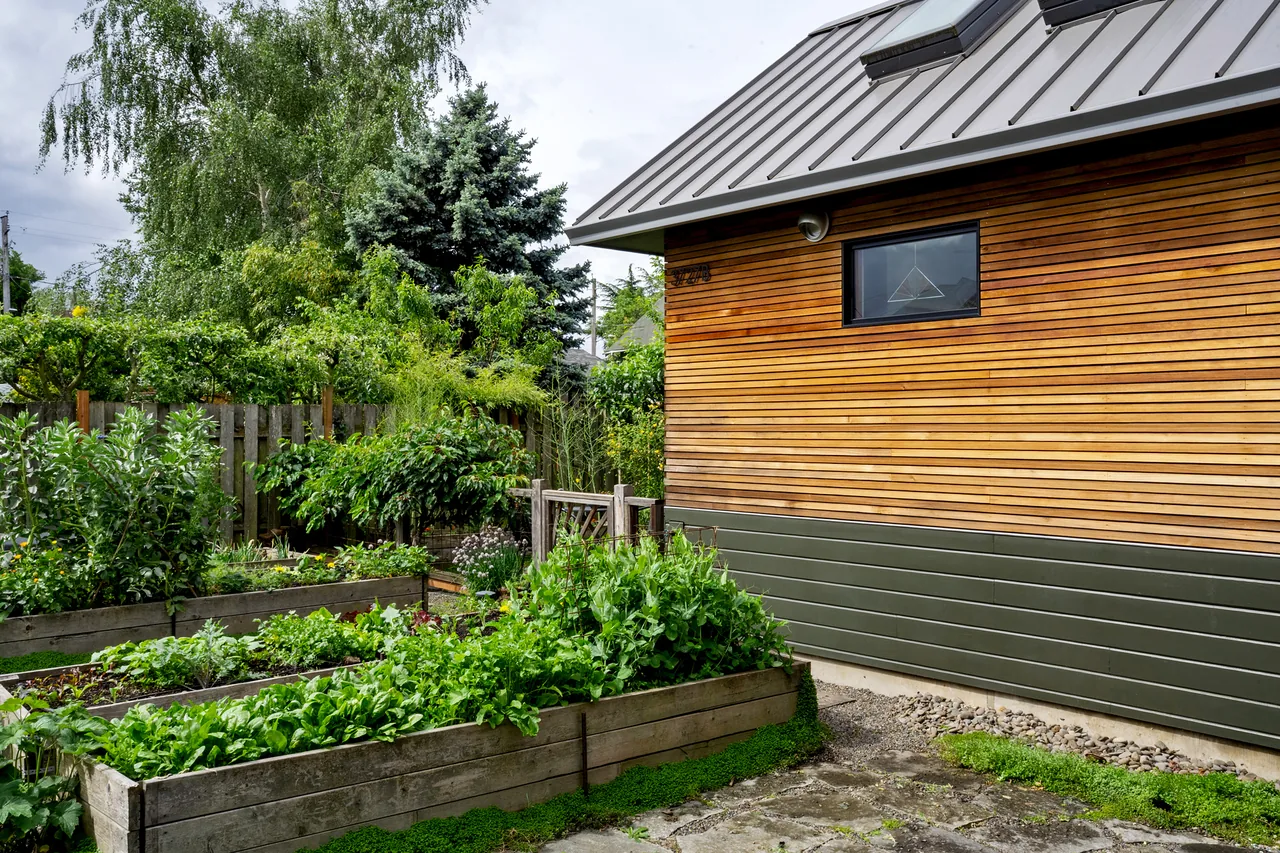 The Irving Park ADU features horizontal wood siding with a metal roof and is adjacent to raised garden beds.