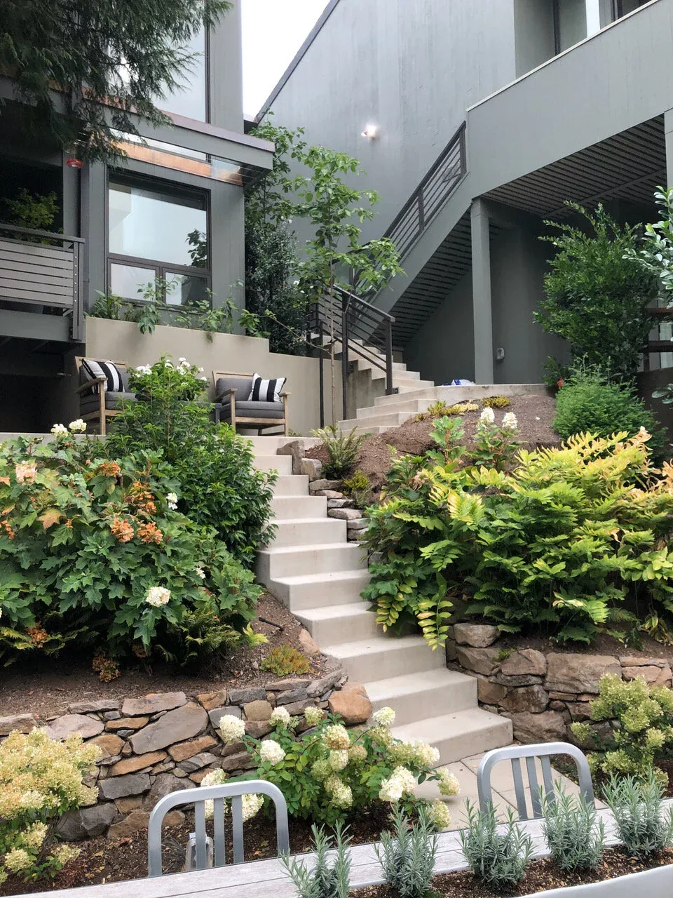 View of an outdoor space featuring concrete stairs, lush landscaping, and seating adjacent to a mid-century inspired modern ADU.