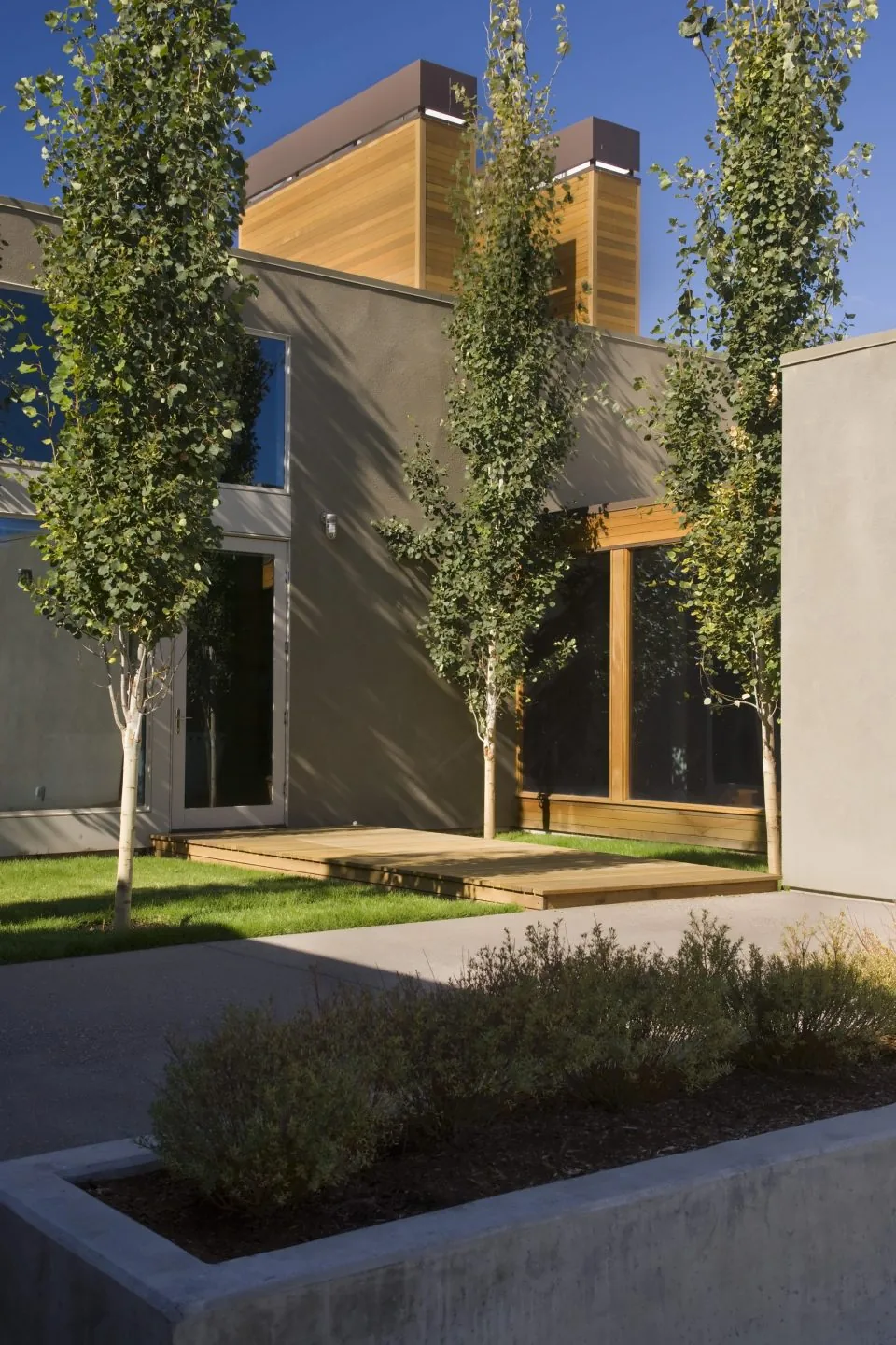Courtyard of Fadjur Lane Residence featuring a wood deck and landscaped greenery with tall slender trees.