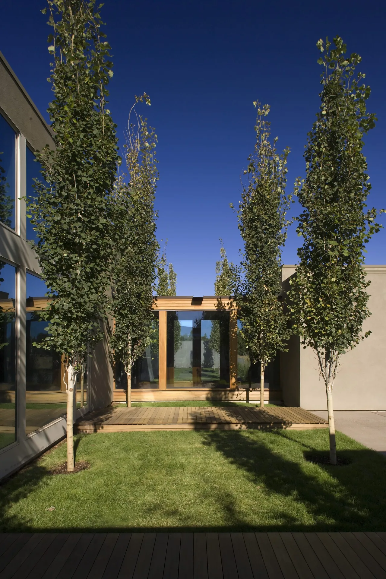 The Fadjur Lane Residence features an outdoor lawn with wood decking and slender trees between modern building volumes.