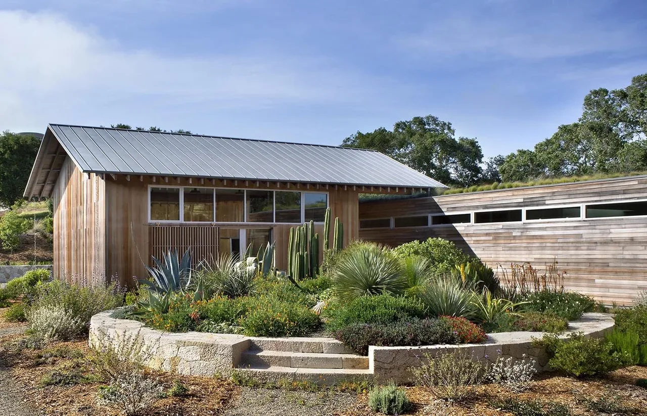 South Bay Residence features horizontal wood siding, large windows, and a metal roof with natural xeriscape landscaping.