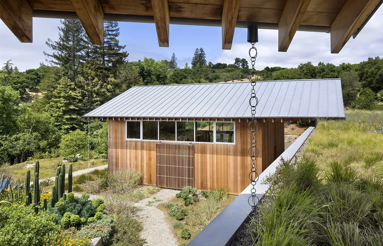 Wood-clad structure with a standing seam metal roof and clerestory windows in a xeriscape garden.