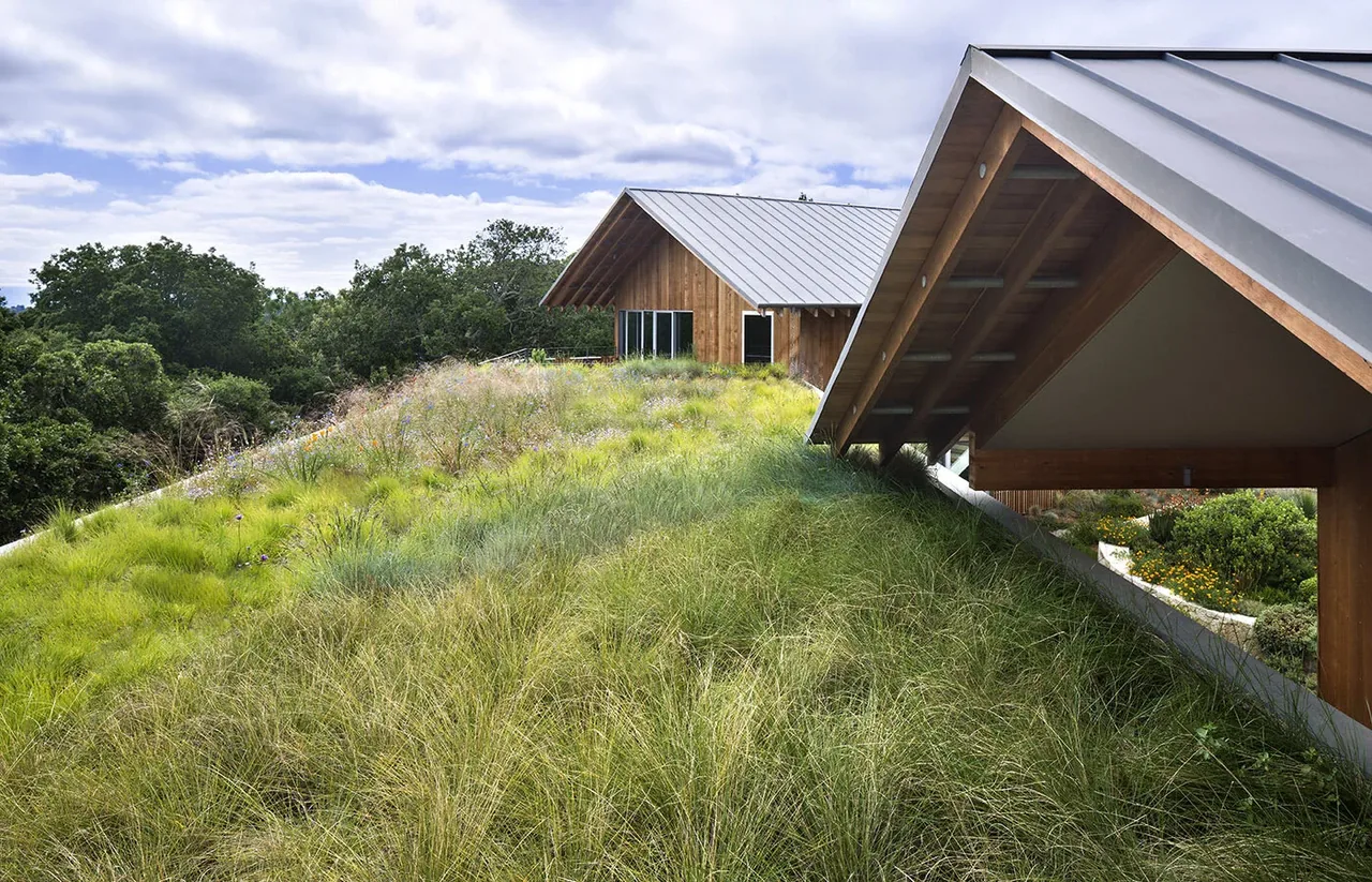The South Bay Residence features a sloped green roof with grass and natural planting under standing seam metal roofs and wood siding.