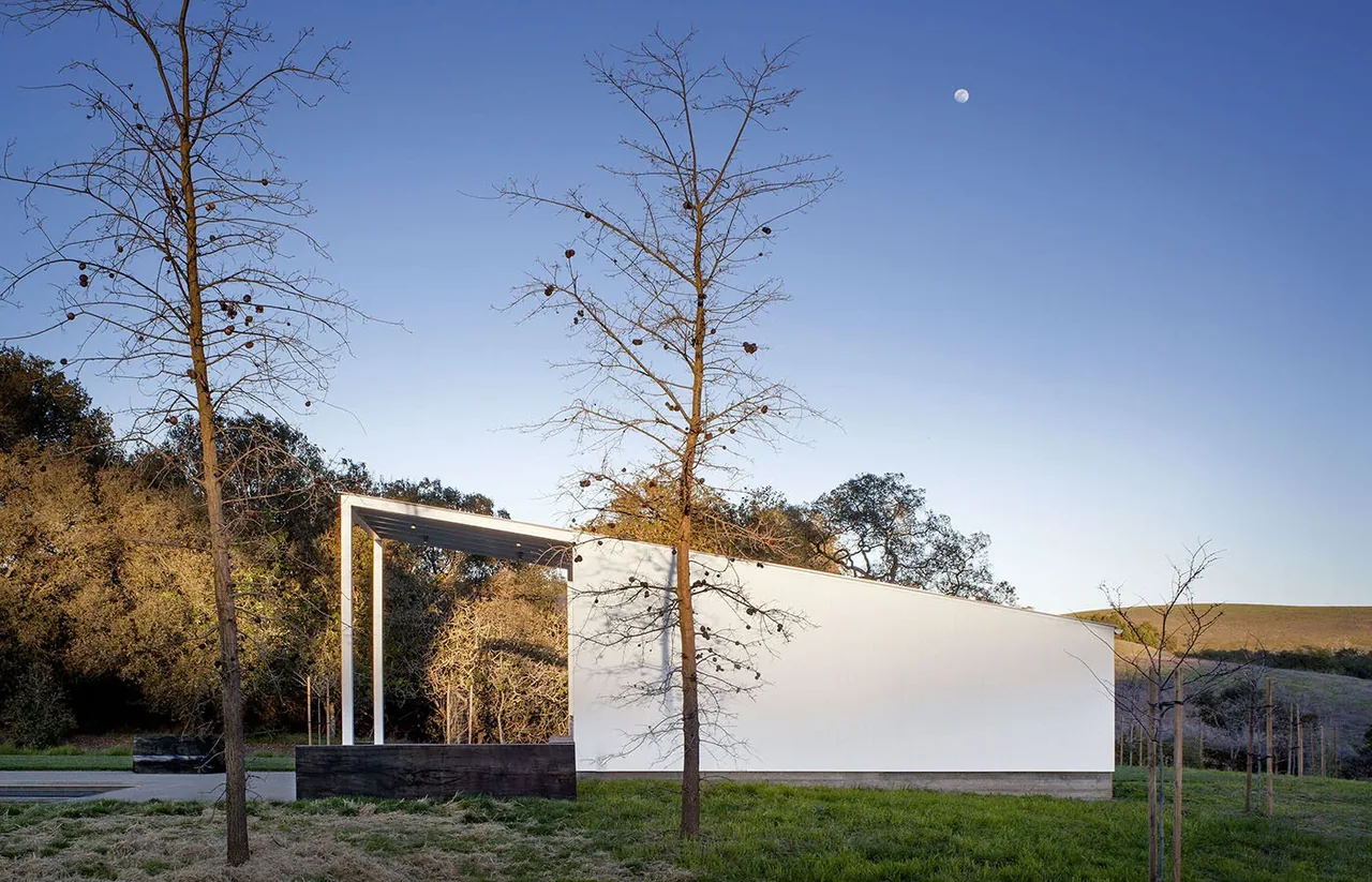 Modern white flat-roofed pool house with an open covered patio amidst grassy hills and mature trees.