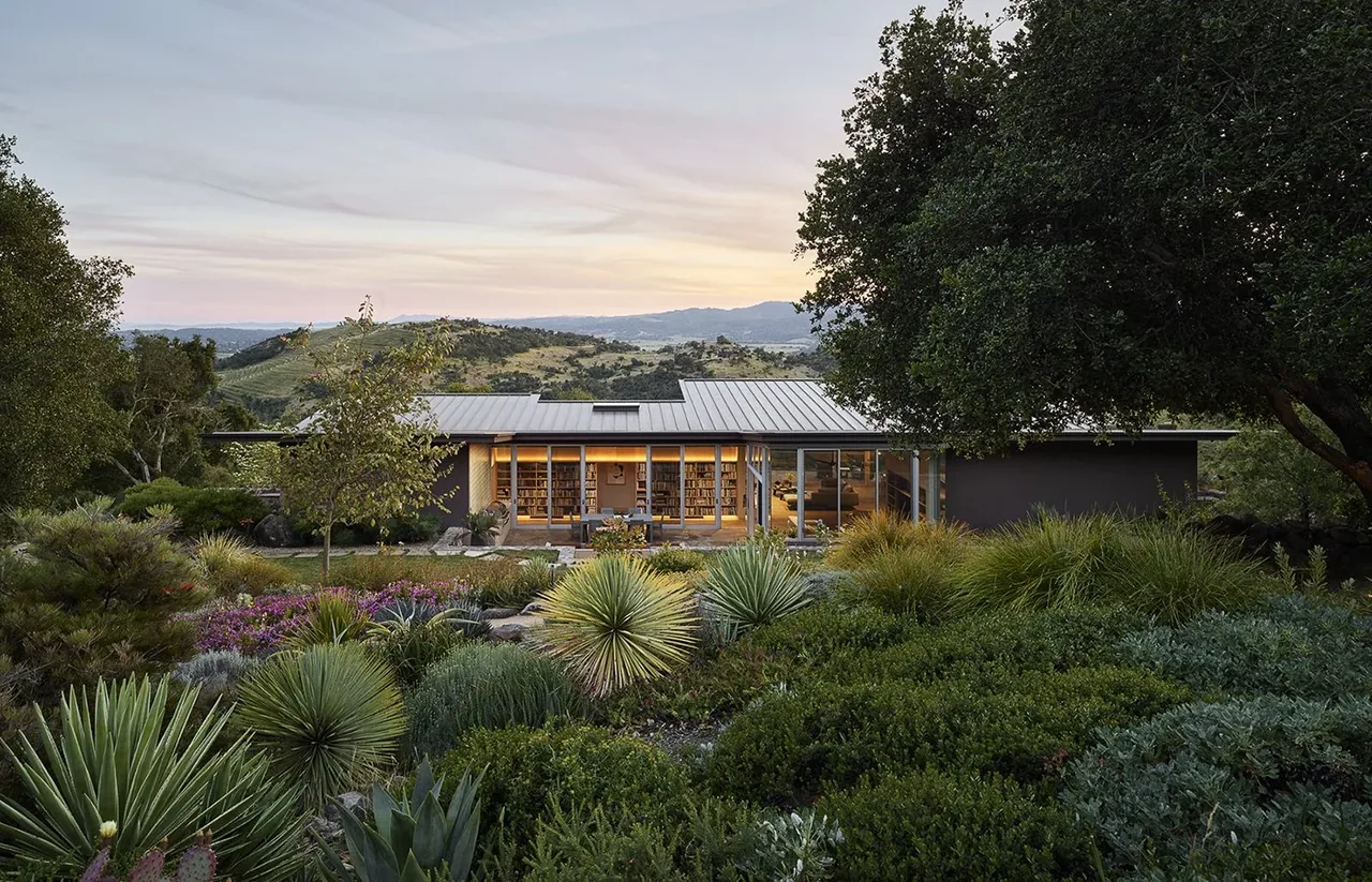 Napa Valley Hillside residence features a metal roof and extensive glazing overlooking mature dry climate landscaping.