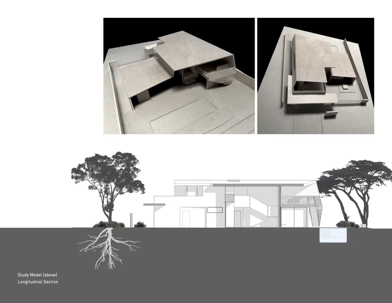 Study model views and longitudinal section of the Edgewood House by Terry & Terry Architecture, featuring a cantilevered roof.