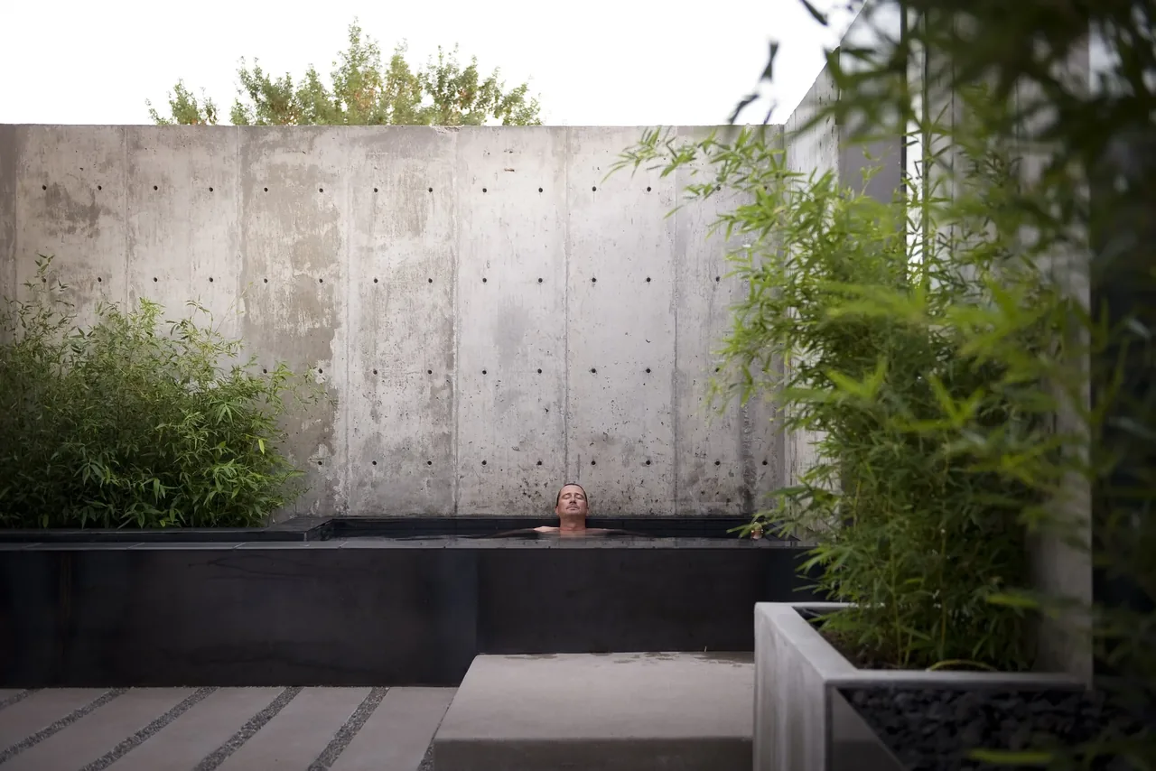 The alley house features a minimalist outdoor pool bordered by concrete walls and lush greenery.