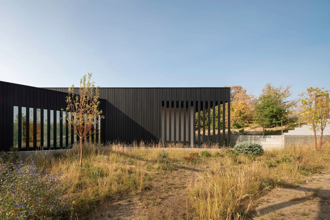 Modern black exterior with vertical slats and panoramic windows in a natural dry grass setting.
