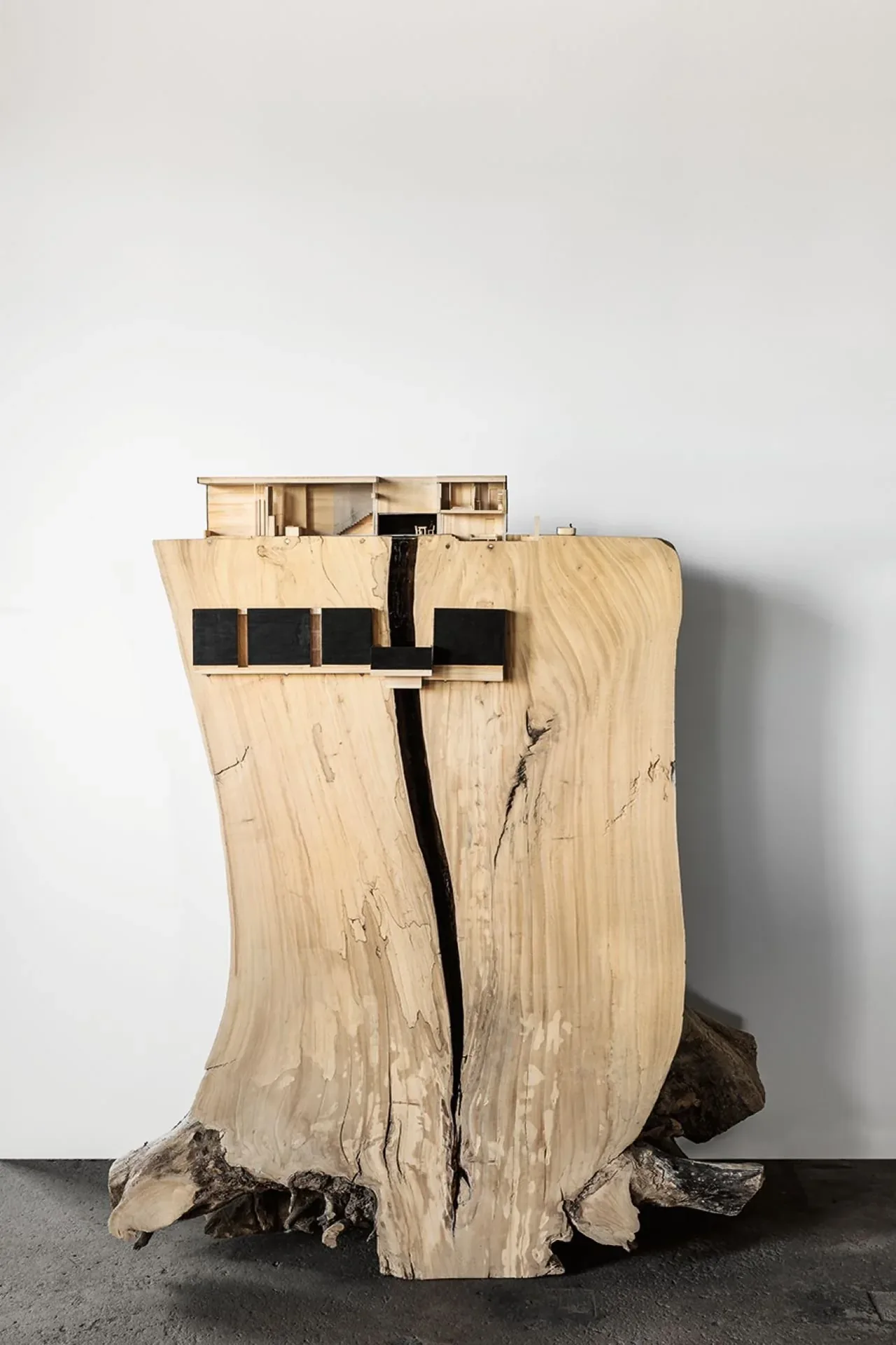 Model of a modern house incorporated into a large natural wood tree stump, highlighting organic and geometric contrasts.