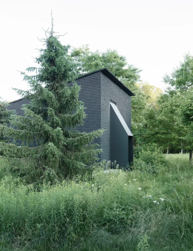 Hudson Valley House II features a textured black shingle exterior blending into its green natural landscape.