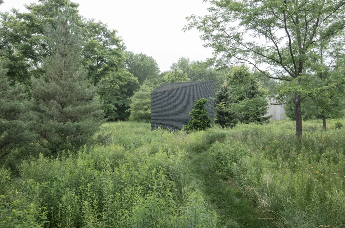Modern small building with shingle siding surrounded by dense planting of trees and wild grass.